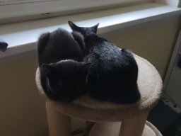 Katerstimmung