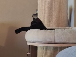 Katerstimmung
