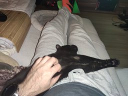 Katerstimmung